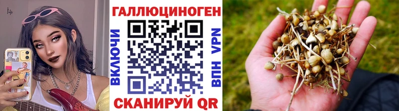 Псилоцибиновые грибы прущие грибы  Долинск 